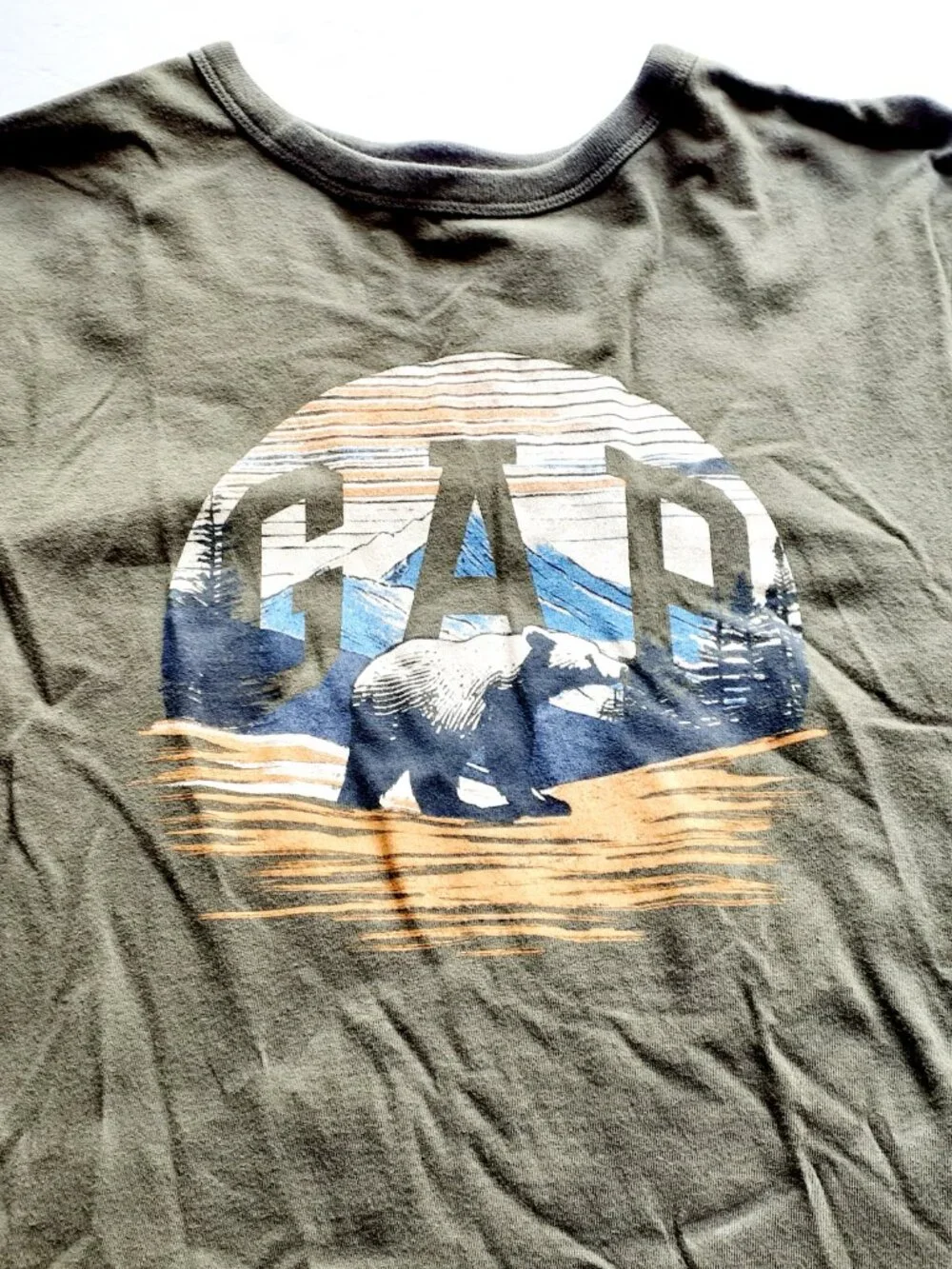 Gap Boys T-Shirt Green Bear Outdoors Nature Long Sleeve Logo XXL 14-16